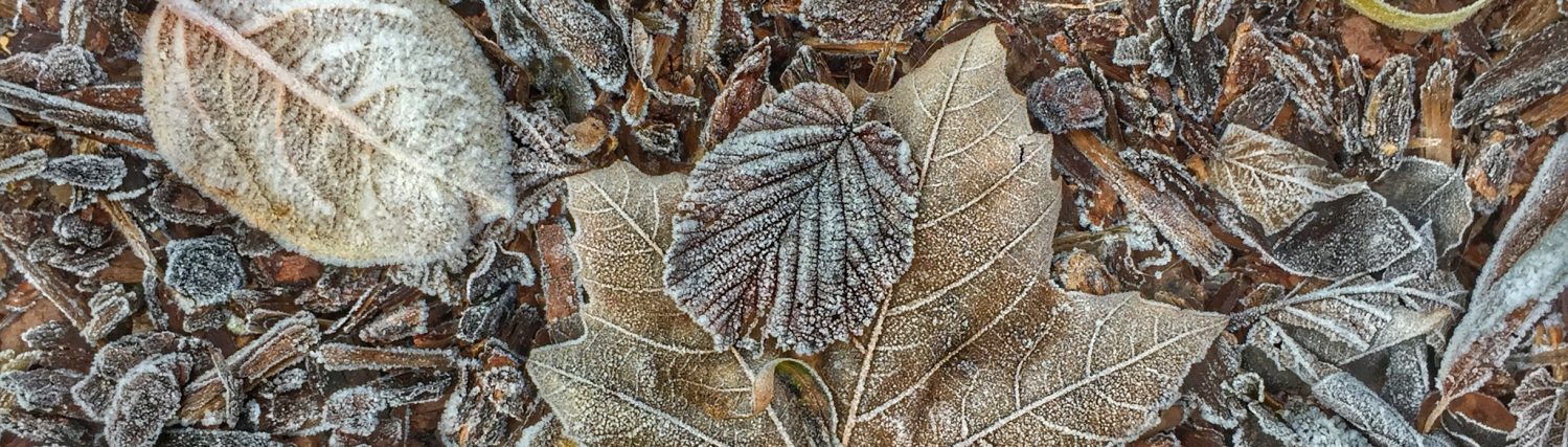 Rob Doolaard Dieren- en Natuurfotografie